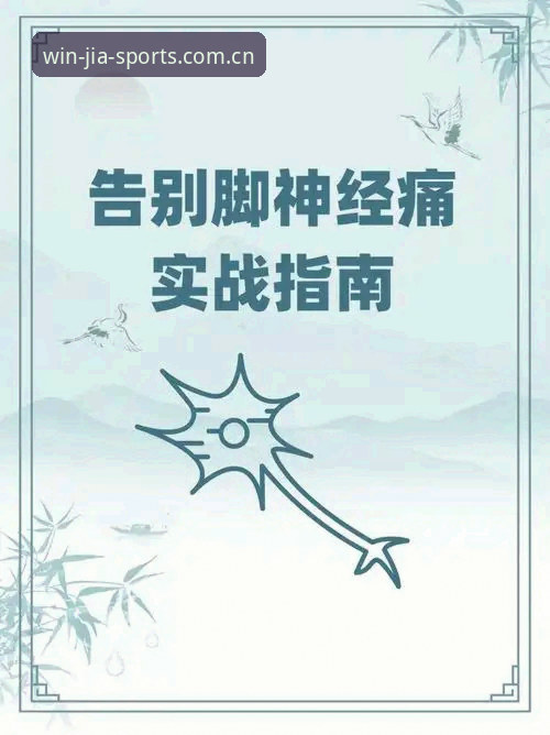 盈嘉体育官网详解：从下载到实战的全流程指南